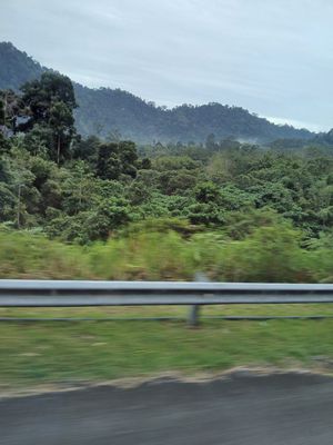 20260103_090451.jpg