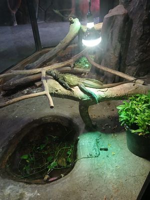 20260116_105652.jpg