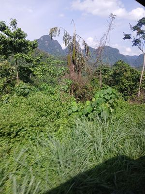 20260118_144948.jpg