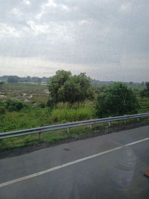20260119_081634.jpg
