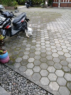 20260123_061233.jpg
