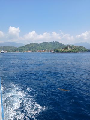 20260130_095015.jpg