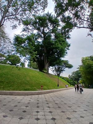 20260207_123632.jpg