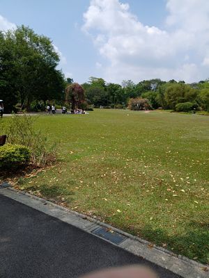 20260208_120650.jpg